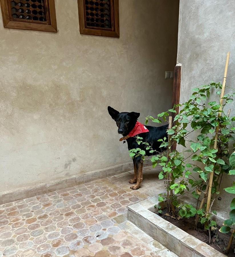 Riad Alena Marrakesh Esterno foto